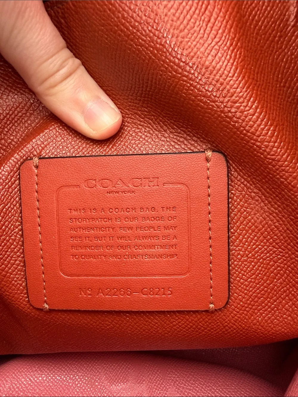 Coach Mollie Tote “Dreamy Land” Print